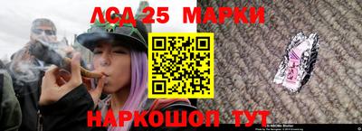 spice Свободный
