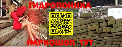 spice Свободный