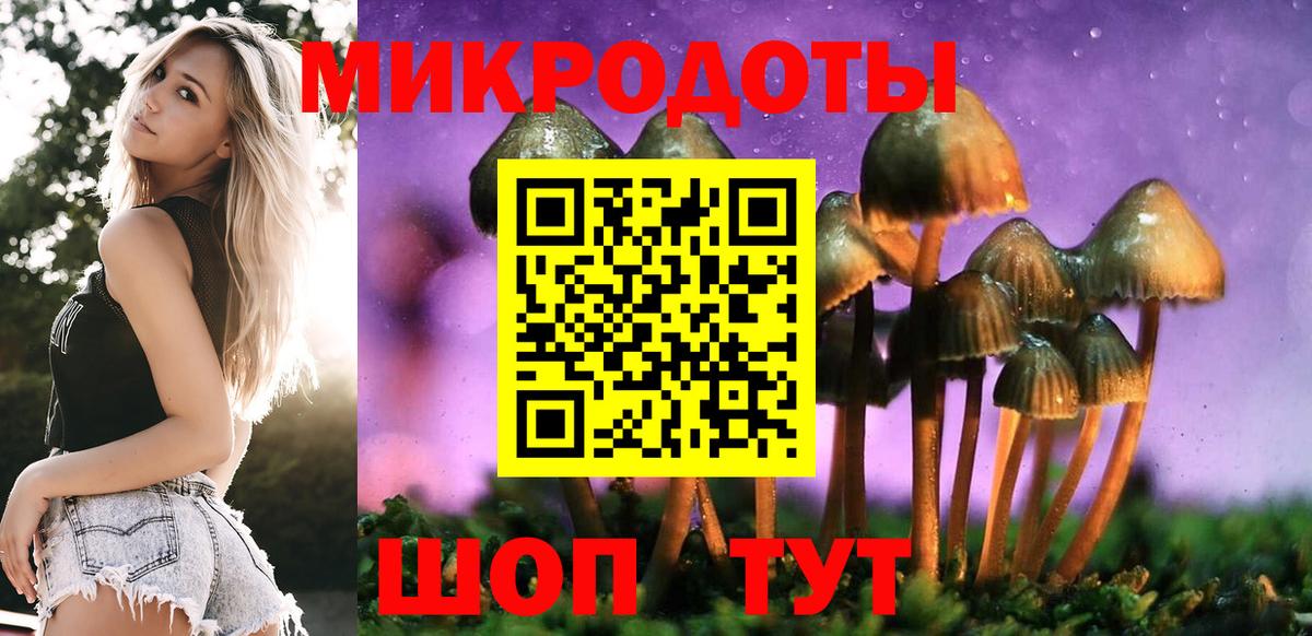 Псилоцибиновые грибы Psilocybine cubensis  Вход с VPN  Павлово 