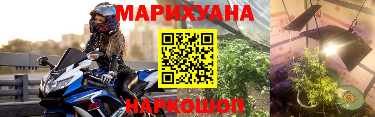 Каннабис сатива Павлово